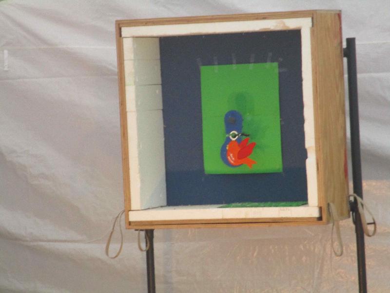 121_17062016 Vogelschuss 121_17062016 Vogelschuss