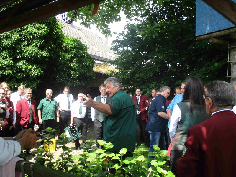 030_18062016 Vogelschuss 030_18062016 Vogelschuss