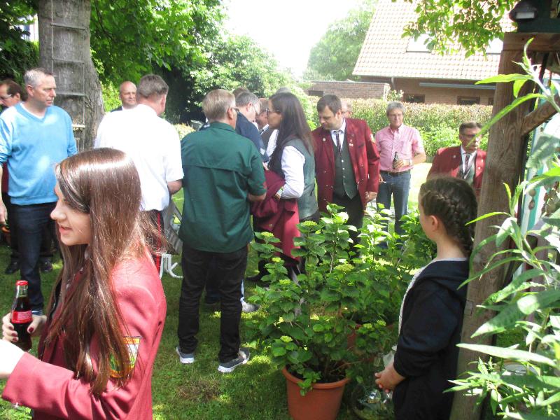 031_18062016 Vogelschuss 031_18062016 Vogelschuss