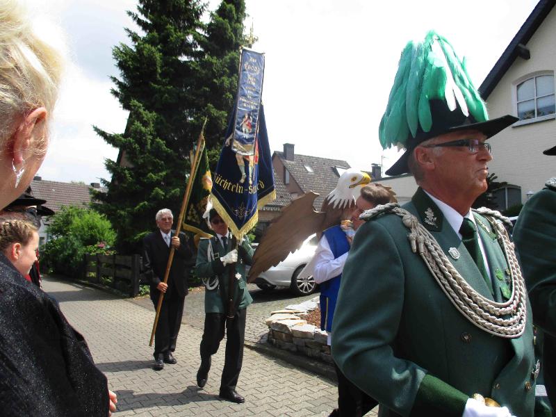 078_18062016 Vogelschuss 078_18062016 Vogelschuss