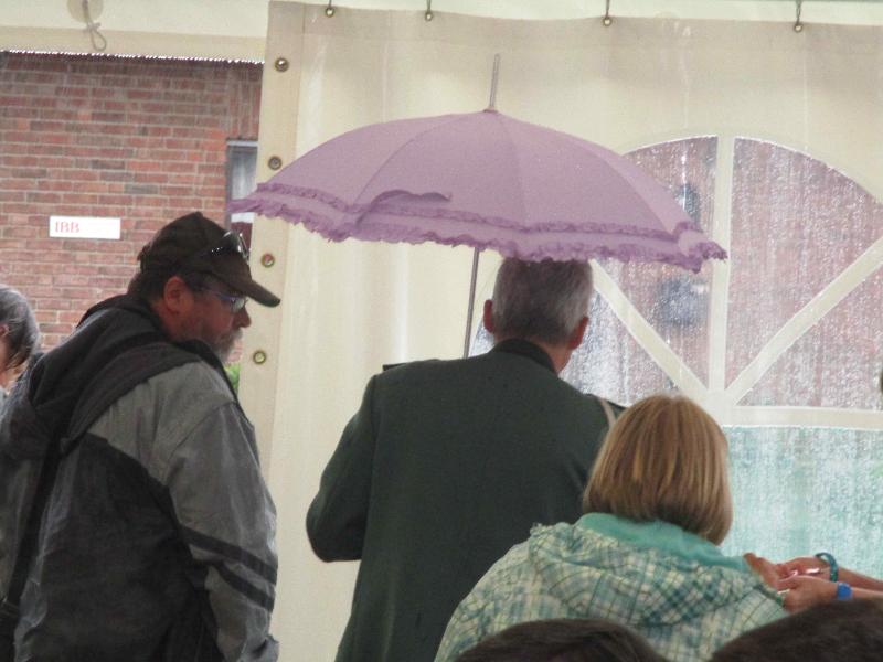 105_18062016 Vogelschuss 105_18062016 Vogelschuss