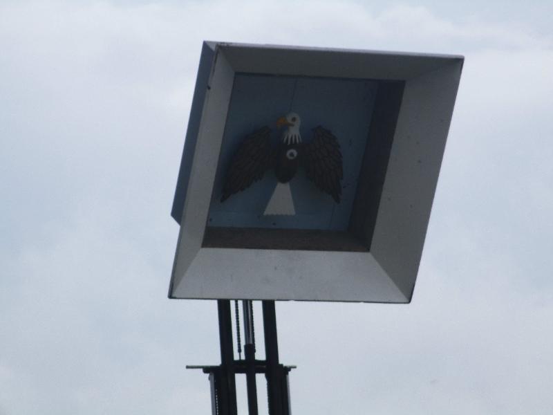 124_18062016 Vogelschuss 124_18062016 Vogelschuss